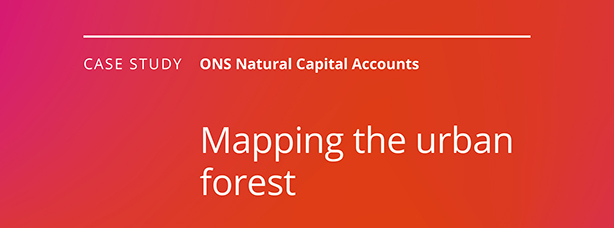Case study. ONS Natural Capital Accounts. Mapping the urban forest.