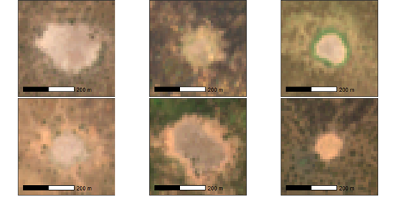An image showing the appearance of cattle camps on 10-metre resolution Sentinel 2 imagery. Images show that camps are generally rounded in shape, low in vegetation cover and often brighter in appearance than surrounding ground, even de-vegetated ground.