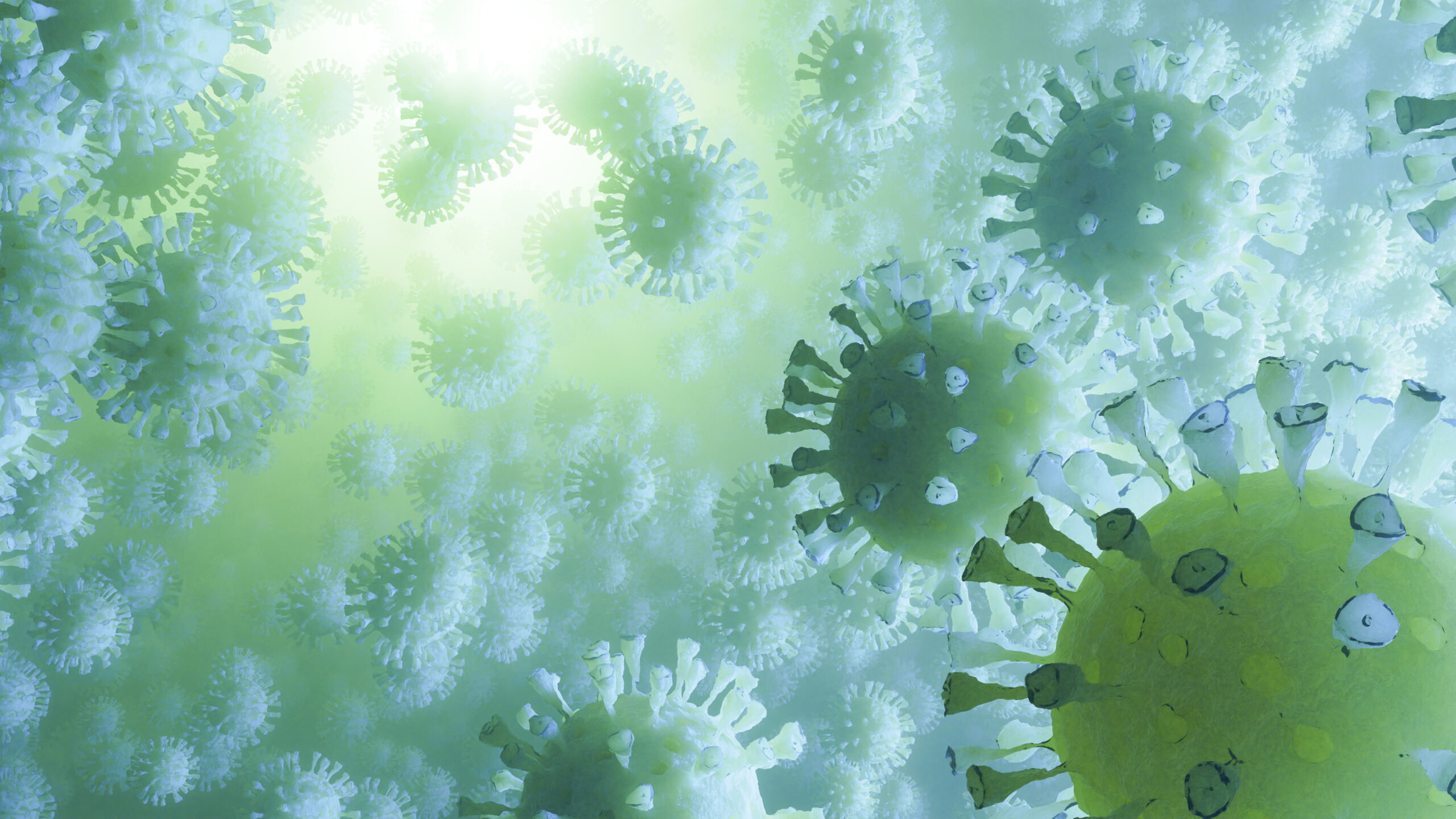 A concept image of the novel coronavirus.