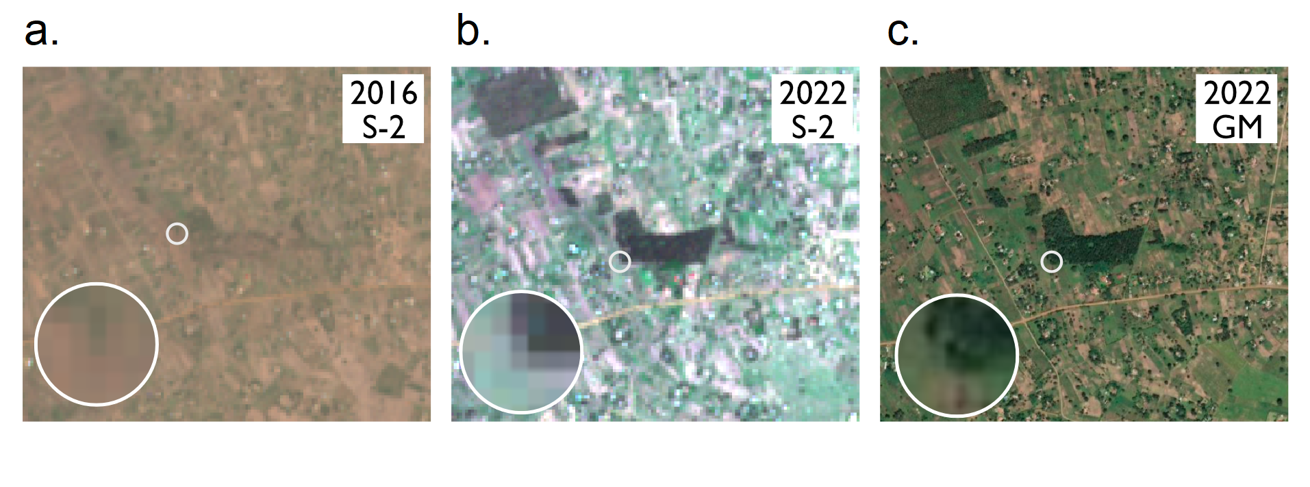 A three panel image showing various satellite images for an area in The Mount Elgon region in eastern Uganda. The left image was taken in 2016 using the Sentinel-2 satellite and shows a fairly brown landscape. The middle was taken in 2022 using the Sentinel-2 satellite, showing a change to a greener landscape. The right image was taken from Google Maps in 2022, which is higher resolution than the Sentinel-2 images.